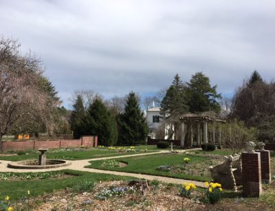 Beautiful Glen magan farms garden-2018.JPG