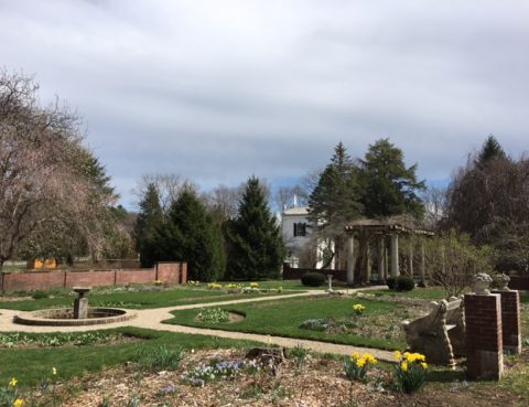 Beautiful Glen magan farms garden-2018.JPG