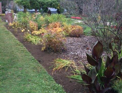 the beautiful gardens of Glen Magna Farms